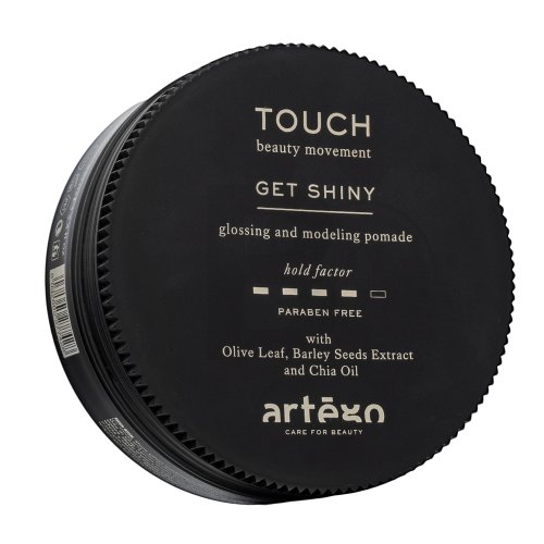 Touch Get Shiny Glossing And Modeling Pomade