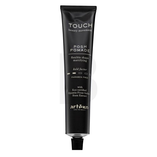 Touch Posh Pomade Flexible Shape Mattifying